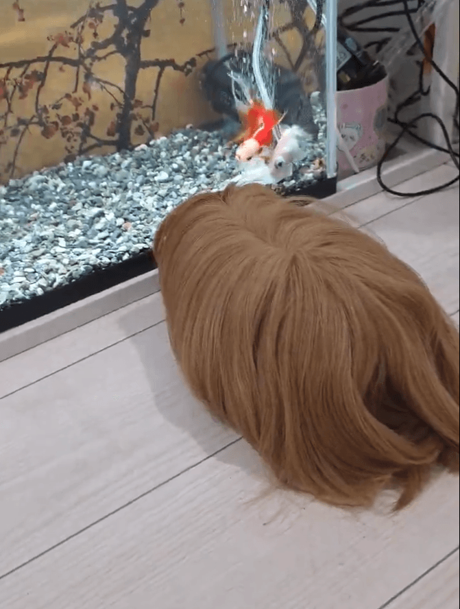 これはまさしく…