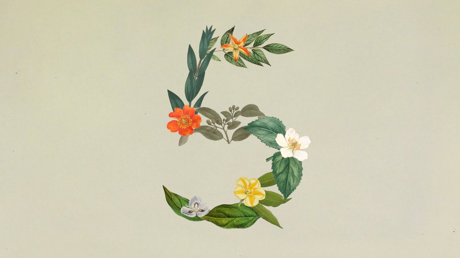 Claude Sonnet