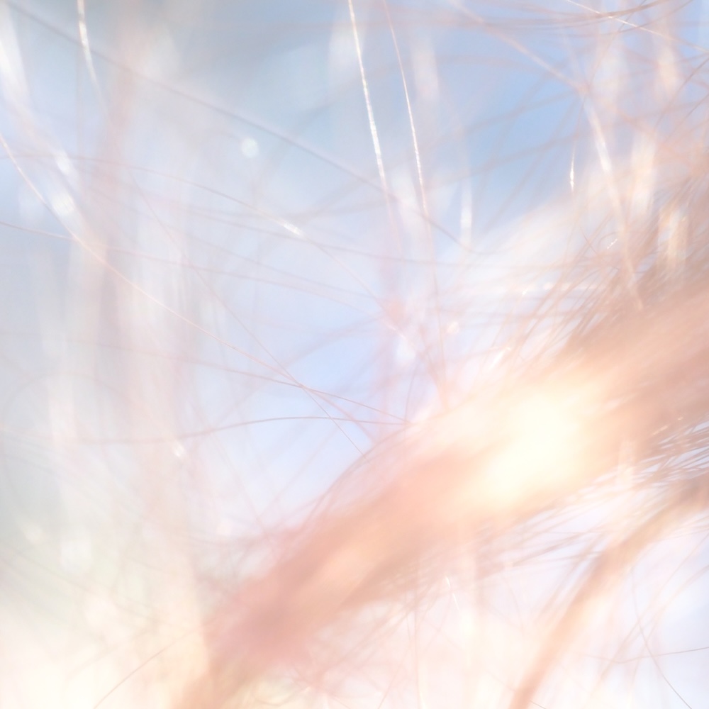 由薫、映画『鬼の花嫁』イメージソング「Ray」配信リリース決定。ショートサイズ音源をSNSにて先行配信スタートも