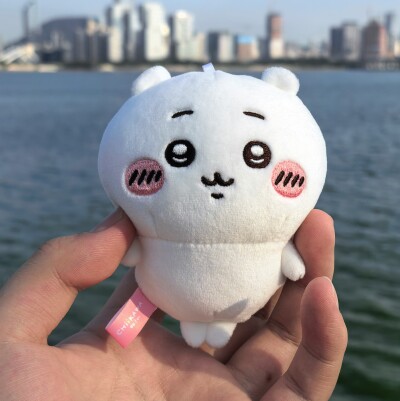 中国のグッズ経済は来年まで持たない?=中国ネット「バブル経済みたいなもの」「とっくに買うのをやめた」