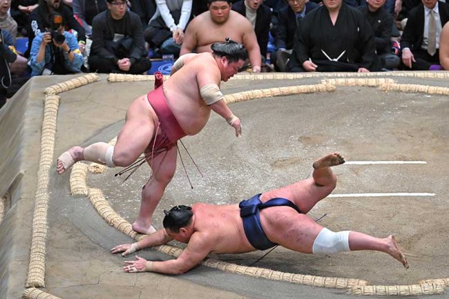 豊昇龍を破った大栄翔（左）【写真：スポーツ報知/アフロ】