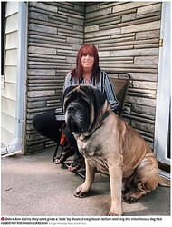 ۤȤɤοͤٸ򤹤Ȥν100Ķ緿ʲϡThe Daily Star2022ǯ97աWorried neighbours feared dog ate postman after finding pooch with severed handǡסImage: Kennedy News and Mediaˡ٤Υ꡼󥷥åȡ