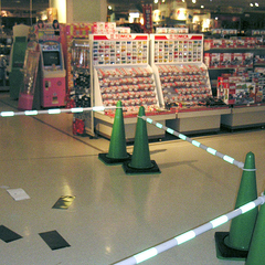 ����Ȥʤä�Ź���2005ǯ2��4�����ơ�