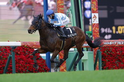 �٥��ȥ����å���C������ӥХ��Ȥ�����͵���͵���