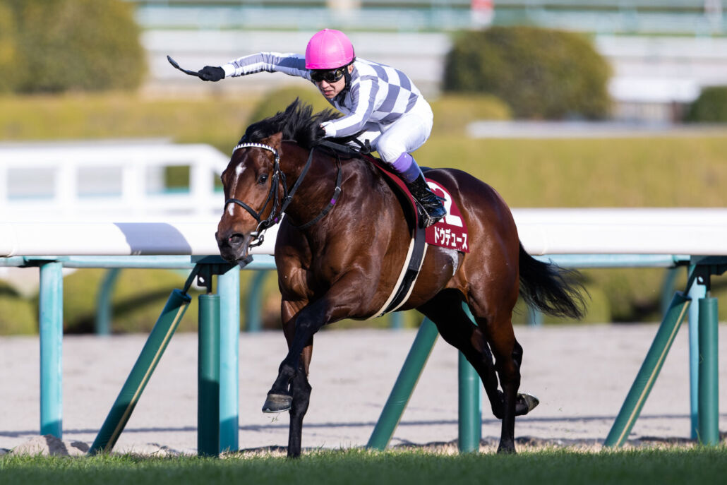 ［競馬］ドウデュース（2023年有馬記念）ミニゼッケン／JRA中山競馬場 ドウデュース 有馬記念 ミニゼッケン JRA 中山競馬場｜Yahoo!フリマ
