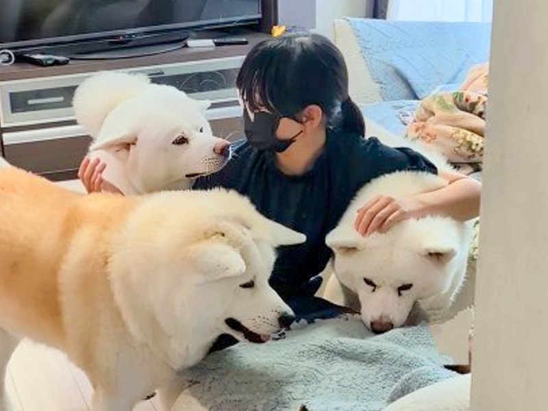 画像が削除されました