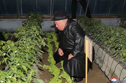 �������᤬Ϣ����������ν׹����˻��ä�����2022ǯ10��11����ī������̿���