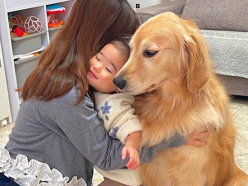 「平和すぎて泣ける」家族の幸せな日常のワンシーンが反響を呼ぶ