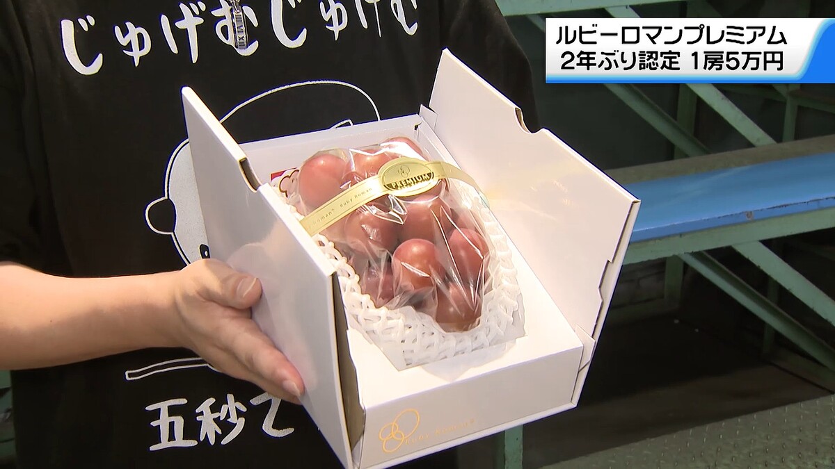 �ƥ�Ӷ���NEWS