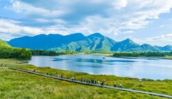 ���̾ʤο����������ϼ����ब��ͥ�������Ƥӡ֥��꡼�󥫡��ɡס�����ǥ���