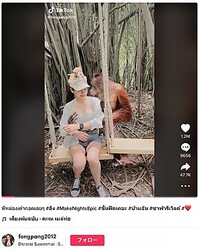 �����Ҥ˶��륪��󥦡�����ʲ����ϡ�Dararat Suwanmai��2022ǯ6��27����TikTok��พี่หน่องเค้ากอดเฉยๆ ��ลิง #MakeNightsEpic ��ขึ้นฟีดเถอะ ��บ้านฉัน ��ซาฟารีเวิลด์�ס٤Υ����꡼�󥷥�åȡ�