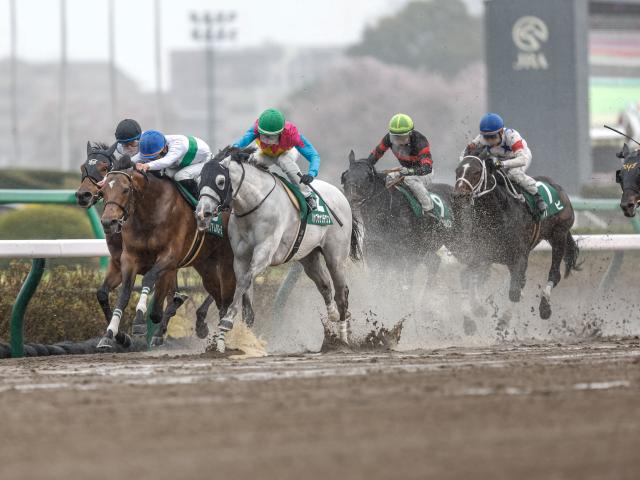 水の浮く不良馬場で行われたマーチS(撮影:下野雄規)