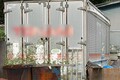 《体をバーナーで焼き、陰部を…》「タ...