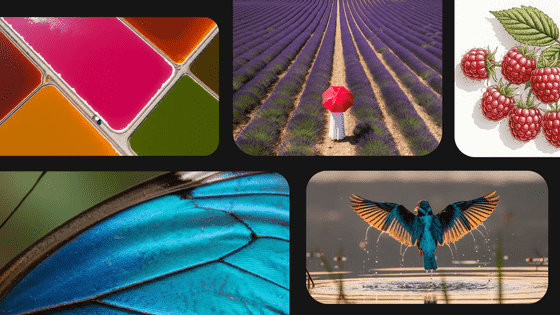 画像が削除されました