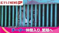 ����ƥ������