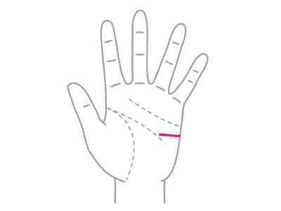 ライバルや競争相手がいると伸びる人が持つ『ライバル線』とは！？【手相の教科書】