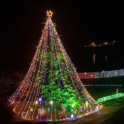 ̾ʪ�μ��������ܥ��ꥹ�ޥ��ĥ꡼�⡪���إ�ʬ�ˤʤ��ܥ������ʤ��ߥ���ߡڥ��ꥹ�ޥ�����ߥ͡������2019��