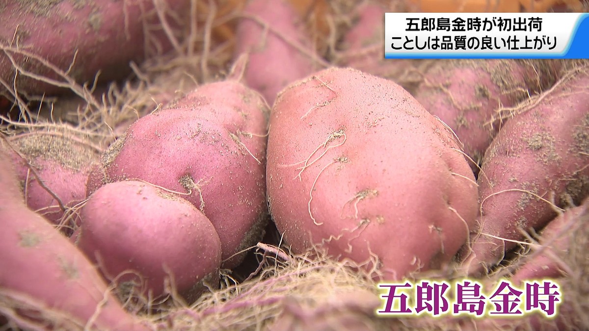 テレビ金沢NEWS