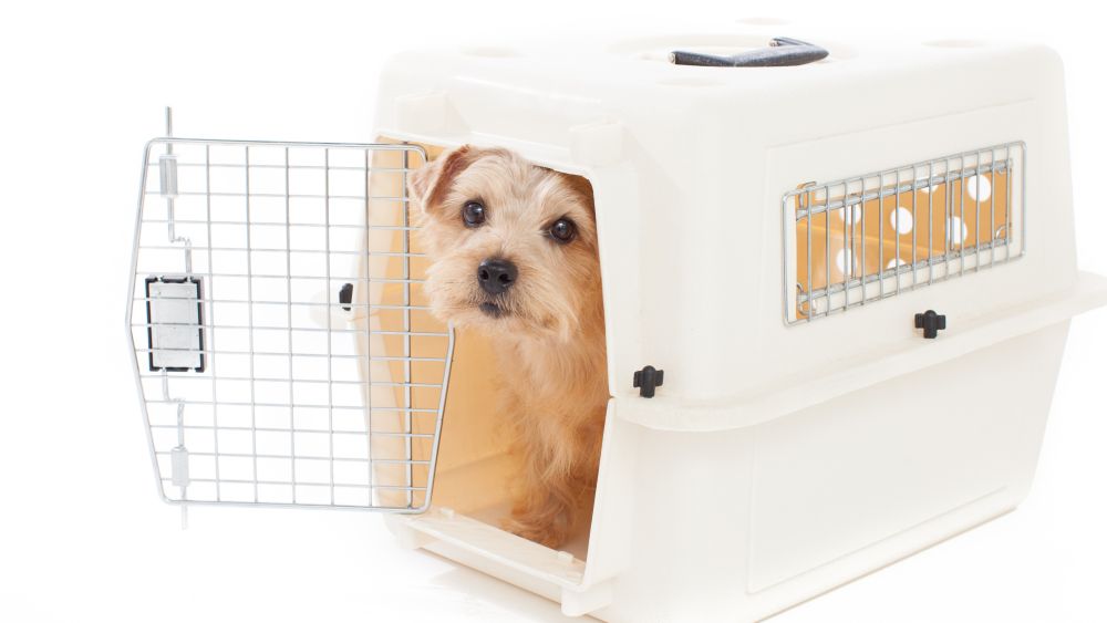 （写真：AdobePhotoStock）