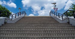 Photo: Adobe Stock
