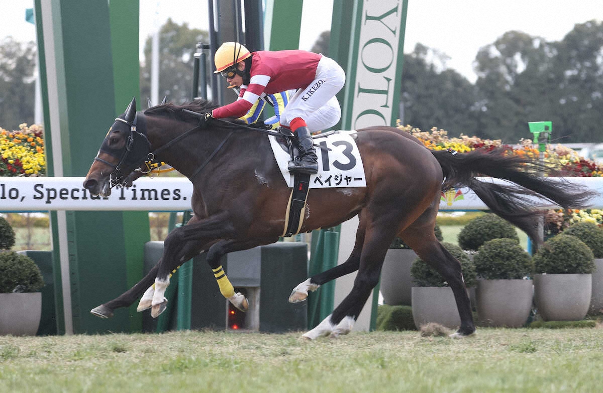京都新馬戦】ペイジャー 叩き合い制した! 福永師も太鼓判「セリの時から期待していた」 - ライブドアニュース