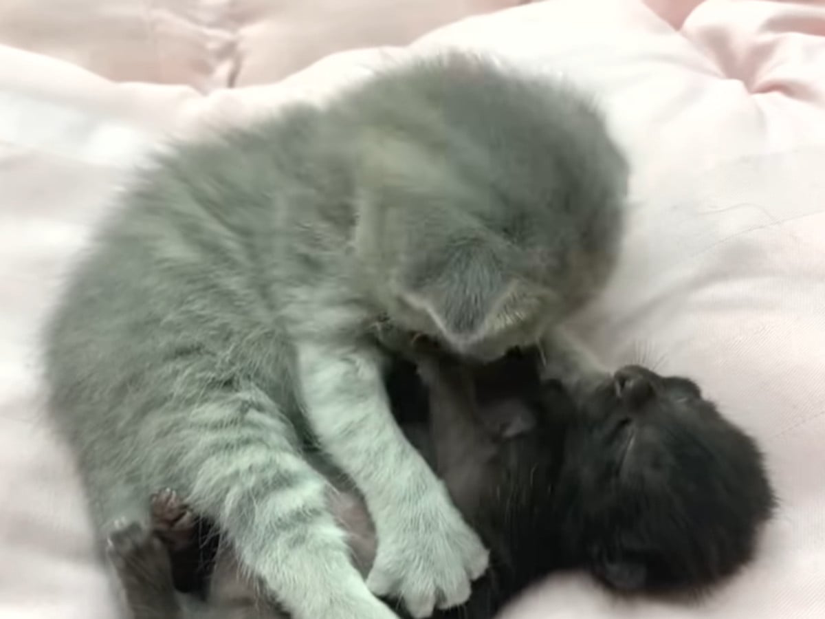 ����äƤ���Ƥ�Ѥˤۤä��ꡪ