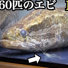 �饤������ݽ��װ��ΤϤ�����10����30ɤ�ä������Ӥι���