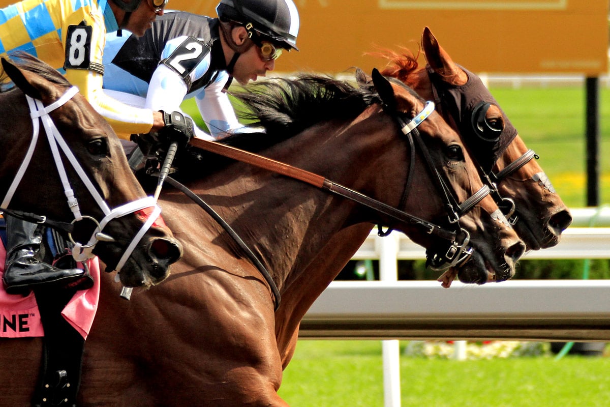 GIII・中京芝1200m「ワイドラトゥール」高評価の有力馬や穴馬を紹介