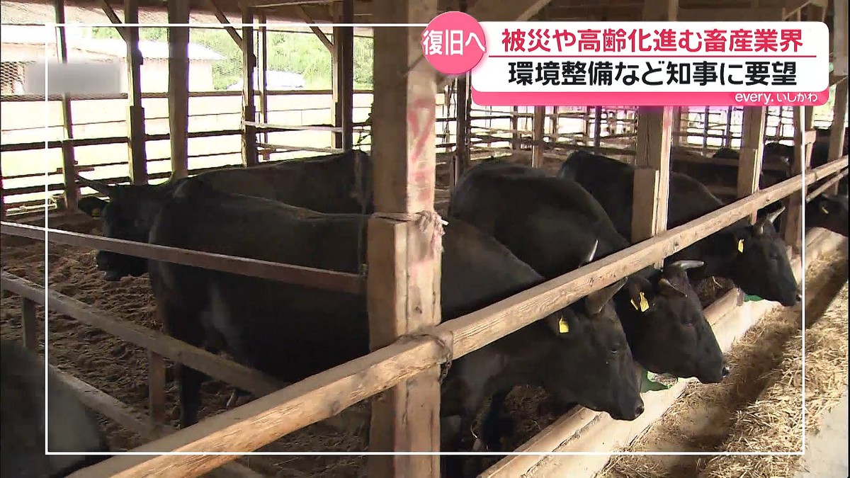 テレビ金沢NEWS