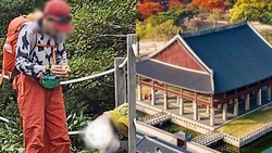 �Ҳ��ܡ������仺�����ءӡ����ͤ��������֤��Ƥ����䤬�ä��״ڹ�ͤ��ȥƥ��ɤ�����ܡ������3400����ʬ�θĿ;������ޤ���洶�𤬰���