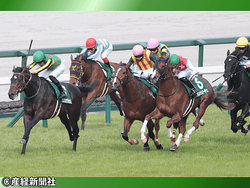 �ڥ���ー��������󥺣� 2026�����Ū�����٤ι⤤①�͵��� ���10ǯ�η������鸫��͵�������