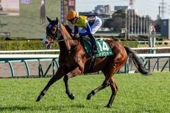 ���������S���ޥޥ���������ľ�������