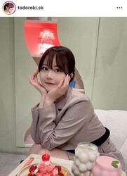 �����������ɥ������פΥ��󥹥������ʡ�todoroki.sk�ˤ��
