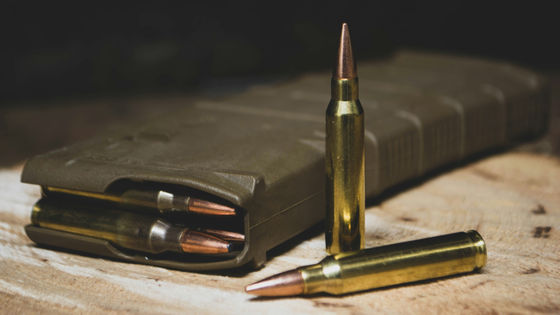 �ֻ���ǽ�Ϥ���ġפȤ������ᤵ�줿�����륬�������Ԥ�����ο���ˤĤ��Ʋ���