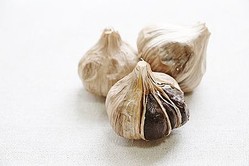 ���˥�˥��κ�����äơ���������쥷�ԡ�����������¸��ˡ�򤴾Ҳ�