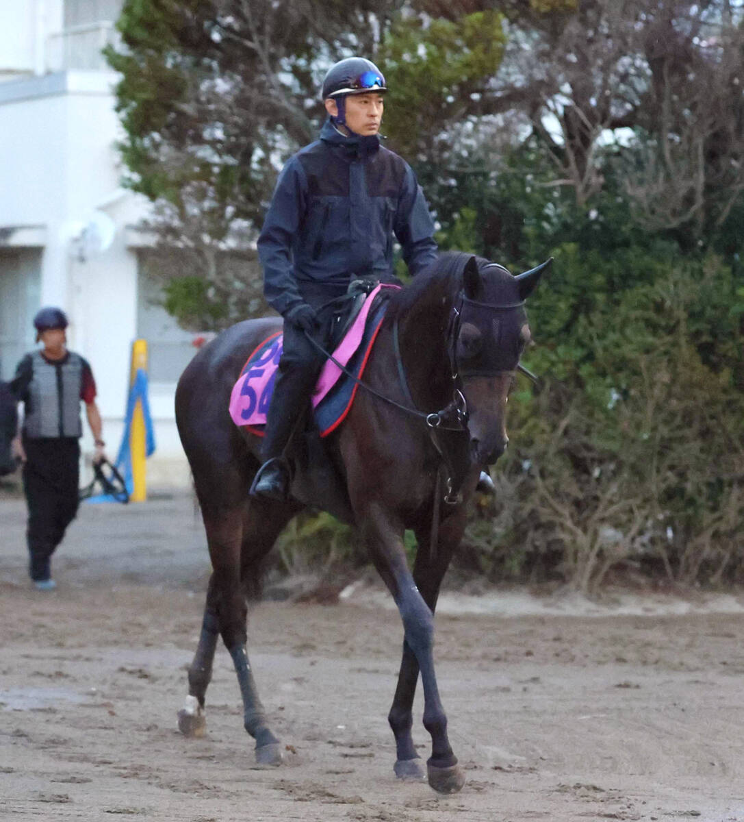 イクイノックス　新聞記事 POG】イクイノックスの全妹イクシードが東京でデビュー 陣営
