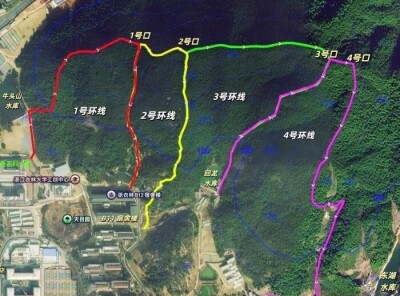 浙江の大学がカリキュラムに「ジャングルクロッシング」導入―中国