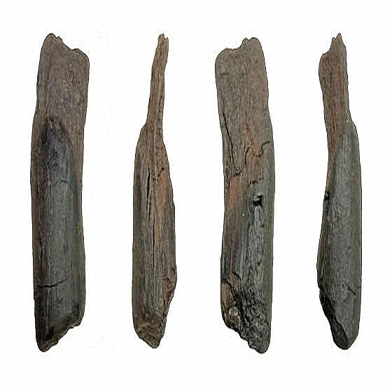 約43万年前のものと思われる最古の木製道具を発見 ギリシャ南部 (2026