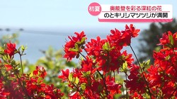 �ƥ�Ӷ���NEWS