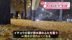 일본 테레비NEWS