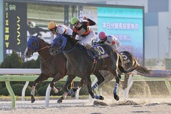 ������ŵ���ǥ����ƥ�������Ƿ���� (C)Hiroki Homma