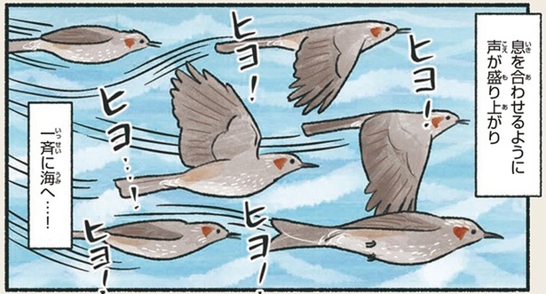 ȶʾ餹ĻǴƦμ 饹ȥ졼ڤ