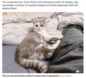 住宅管理業者によって生き埋めにされた猫(画像は『The US Sun 2020年2月3日付「PET PANIC Coronavirus - Quarantined man’s ‘cat is BURIED ALIVE by panicked neighbours who feared it could spread bug’」(Credit: AsiaWire)』のスクリーンショット)