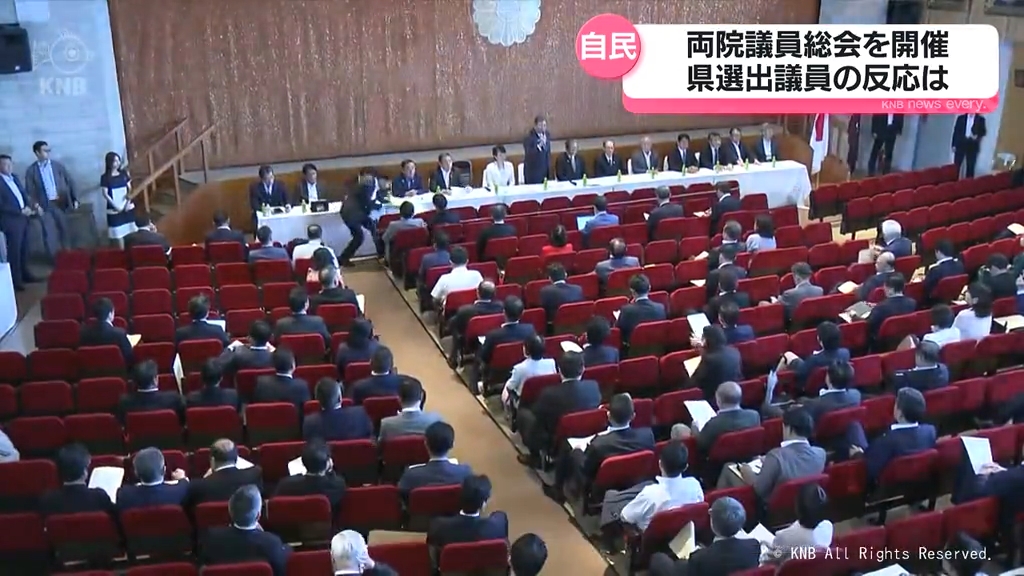 KNB����������