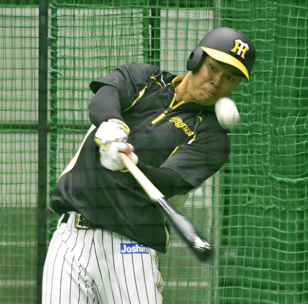 阪神・佐藤輝明の「サブレーショット」一発で広告効果1億円超 ...