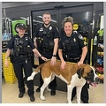 ȡСʡɤȵǰƤٻʲϡFox News2022ǯ615աFlorida police remove 135-pound St. Bernard from Dollar General storeסBradenton Police Departmentˡ٤Υ꡼󥷥åȡ