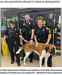 ȡСʡɤȵǰƤٻʲϡFox News2022ǯ615աFlorida police remove 135-pound St. Bernard from Dollar General storeסBradenton Police Departmentˡ٤Υ꡼󥷥åȡ