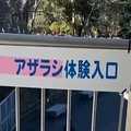「いや怖」「悲鳴をあげてしまった」　...