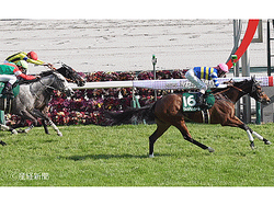 �ڰ�����2026��ά��5���Ϥ�ʣ��Ψ�ϥȥåפ�25��ǯ���̥�ー������Ƴ��ͭ�ϸ���