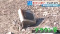 ダム干上がり…集落の名残が登場